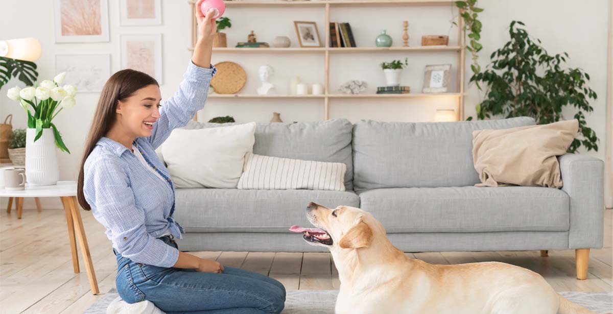 Top Tech Products for Pet Owners
